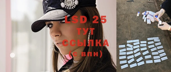 PSILOCYBIN Гусиноозёрск