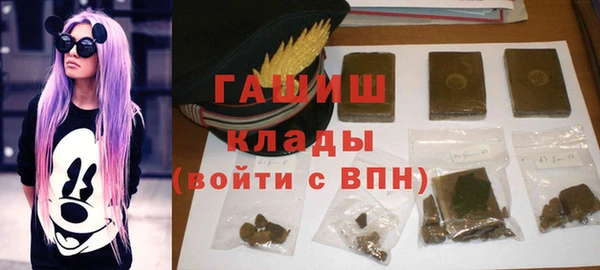 стафф Гусев
