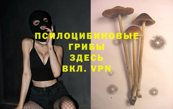 каннабис Гусь-Хрустальный