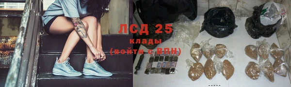 стафф Гусев
