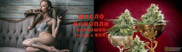 стафф Гусев