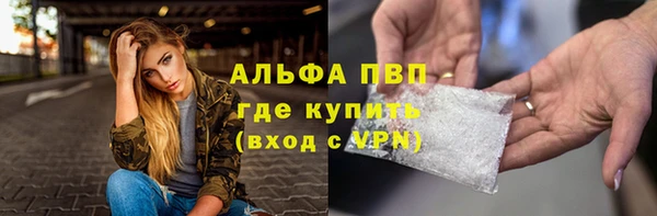 стафф Гусев