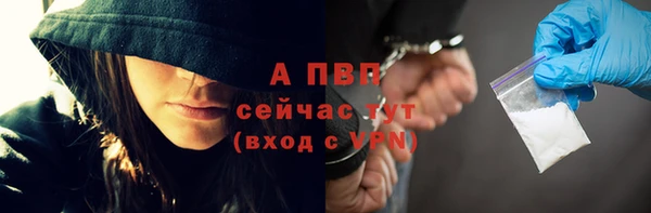 PSILOCYBIN Гусиноозёрск
