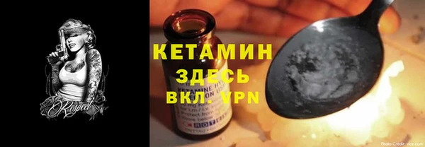 стафф Гусев