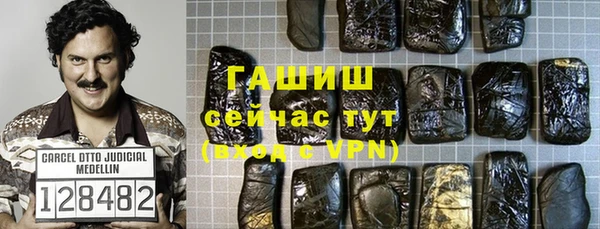 стафф Гусев