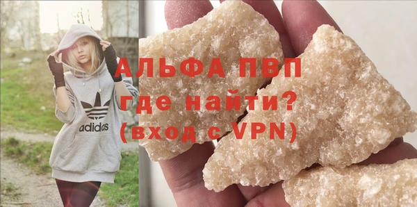 стафф Гусев