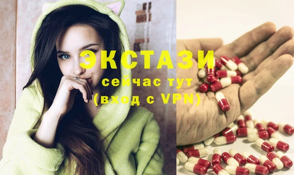 стафф Гусев