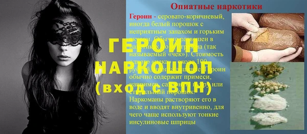 стафф Гусев
