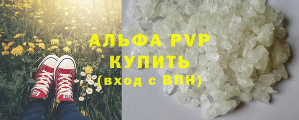 PSILOCYBIN Гусиноозёрск
