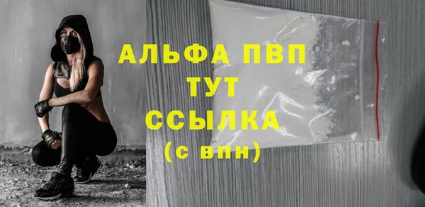 стафф Гусев